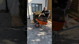 Getting the turf down before winter turns up 🥶 howto landscape turf foryou [upl. by Hibbs]