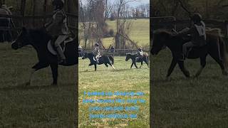 Some hunter trials that we didequestrian horsegirl ponyfun [upl. by Yerahcaz]