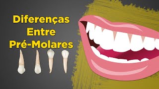 Como Diferenciar PréMolares Entre Si  Anatomia Dental Resumo [upl. by Friday699]