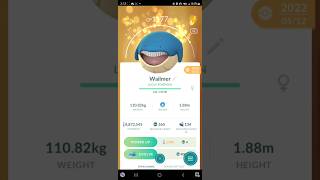 🍀Lucky Wailmer Family Wailord Pokemon Go pokemon pokemongo pokémongo [upl. by Lotta948]