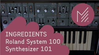 Roland System 100  Synthesizer 101  MESS INGREDIENTS [upl. by Naaitsirhc]