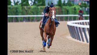 Triple Crown News Minute Presented By Equine Equipment Perfect Day For Historic Belmont [upl. by Lisandra]