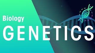 Genetics amp Cell Division Keyword Definitions  Genetics  Biology  FuseSchool [upl. by Massey]