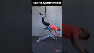 Reverse hyperextensions [upl. by Dasa]