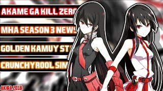 Akame ga Kill ZERO LIZENZIERT  Golden Kamuy ANIME START  Akira News [upl. by Burlie]