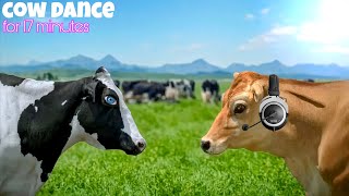 FUNNY COW DANCE FOR 17 MINUTES│ Cow Song amp Cow Videos 2024  Cow music  funny dancing cow [upl. by Ethelstan388]