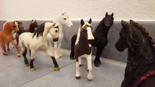 Die Bestimmung  Trailer Schleich [upl. by Maccarone]