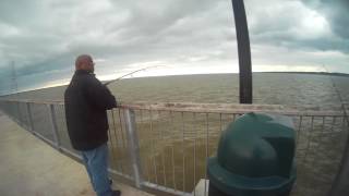 Croaker Fishing James River Pier MUST SEE [upl. by Ermine]