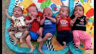 Quintuplets at home Parents’ suddenly surreal life with 7 kids [upl. by Eilac838]