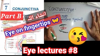 Eye lectures 8 conjunctivitis bacterial conjunctivitis viral conjunctivitis verneal conjunctiva [upl. by Esyned]