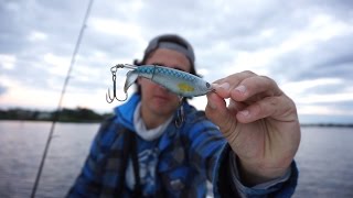 Saltwater Whopper Plopper [upl. by Coray]