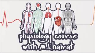 Physiology CVS 5  Excitability changes of the cardiac muscle  Factors affecting Excitability [upl. by Ayanet]