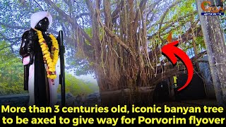 RIP 😢More than 3 centuries old iconic banyan tree to be axed to give way for Porvorim flyover [upl. by Alathia]