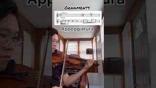 Ornaments Appoggiatura violin violinist violinmusic music violinst classicalmusic orchestra [upl. by Anovahs]