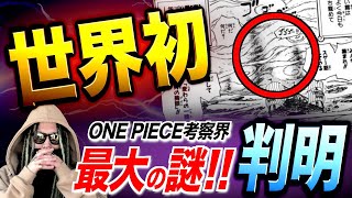 誰１人たどり着けなかった“あの影の正体”を突き止めました【ワンピース ネタバレ】【ワンピース 考察】 [upl. by Ihcelek]