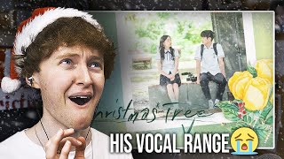 HIS VOCAL RANGE BTS V  Christmas Tree Our Beloved Summer  OST Reaction [upl. by Qirat215]