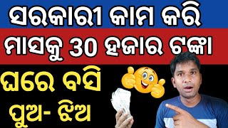 ଘରେ ବସି ସବୁ ସରକାରୀ କାମ ବ୍ୟାଙ୍କ୍ କରି 30 ହଜାର ଟଙ୍କା ✅CSC ଦରକାର୍ ନାହିଁ ❌ Earn money Online on mobile [upl. by Eelyahs130]