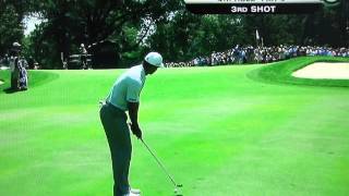 Tiger Woods  Amazing Pitch Shot [upl. by Kieffer]