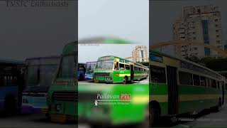 Pallavan 💚amp ULE 🩵💜in KCBT 🔥🥳🥹 Kilambakkam MTC KCBT pallavan ULE slf ai trendingreels [upl. by Alicsirp]