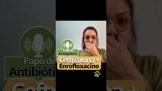 🐾🚨 Associação de Ceftriaxona  Enrofloxacina não é adequada para a maioria dos casos mas [upl. by Nickie340]