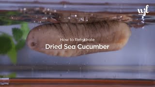 How to rehydrate and clean dried sea cucumber [upl. by Zebada]