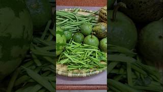 FIVE VEGETABLES OF THE RAINY SEASON IN RAJASTHANyoutubeshorts viral organicgarden [upl. by Anirad]