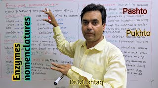 Enzymes nomenclatures  Biology Class 11  Dr Mushtaq Pashto Lectures [upl. by Eenahpets490]