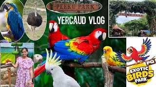 travel to yeacaud hill station with family Birds park amp Pet farm at Peeku Park Yercaud [upl. by Torr]