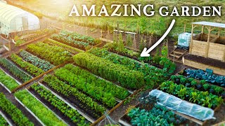 Spectacular NO DIG Garden Growing Food Abundance on a Hill [upl. by Olracnaig]