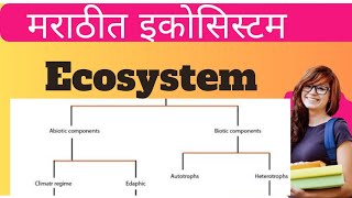 Structure and function of Ecosystem l Environment l LN Education l [upl. by Faxun84]