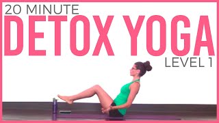 20 minute Yoga for Detox and Digestion Level 1 [upl. by Biamonte]