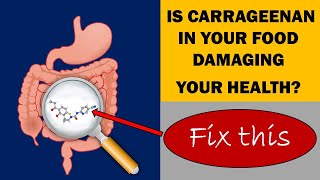 Is Carrageenan In Your Food Causing You Intestinal Problems Inflammation and Arthritis [upl. by Ainitsirc]