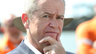 Bill Shorten’s departure is a ‘big loss’ to the Labor Party Andrew Bolt [upl. by Gambrill]