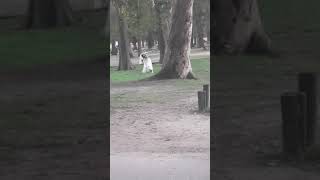 La llorona en Parque rivera 2 [upl. by Zsuedat]