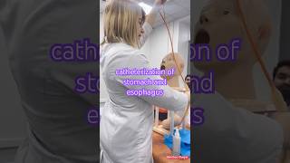 simulation lecture of catheter vlog60 medicogurjar mbbsstudent medicos [upl. by Lednek]