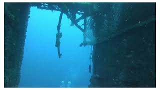 USS Oriskany May 2023 Dive [upl. by Nawd]