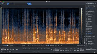 Audio Post Production iZotope RX Advanced Techniques for Dialogue Editing [upl. by Wade]