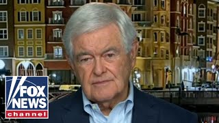 Newt Gingrich This is extraordinarily dangerous [upl. by Ecirtaeb375]