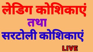 leydig cells and sertoli cells interstitial cellsleydig cellsलेडिग कोशिका और सरटोली कोशिका [upl. by Enyt]