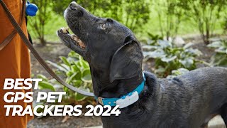 Best GPS Pet Trackers 2024 🐾🐶 How to Choose a Tracker to Keep an Eye on your Pet [upl. by Lesli852]