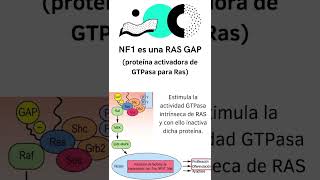 Neurofibromatosis 1 hospital ciencia curiosidadescientificas [upl. by Akitnahs]