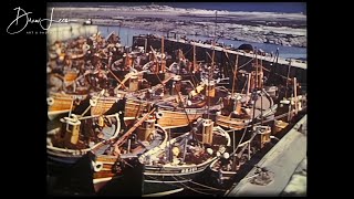 Trawlers In Seahouses Harbour amp Landing The Catch 1950s [upl. by Esimehc]