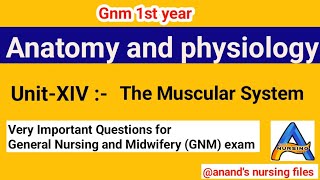 Gnm 1st year Anatomy amp physiology UnitXIV Muscular System QuestionsGnm first year Ana amp Physio [upl. by Claudy]