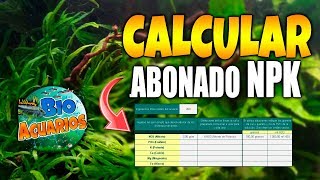 😋Cómo CALCULAR el ABONADO de NPK  ABONAR ACUARIO PLANTADO  Bio Acuarios HD [upl. by Aniuqal474]