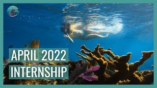 April WSORC  Coral Disease Treatment amp Coral Restoration 🐙  Marine Conservation Internship RECAP [upl. by Adnouqal]