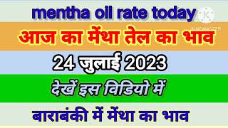 मेंथा तेल का भाव mentha oil rate today mentha oil rate menthaoilrate mentha [upl. by Temme]