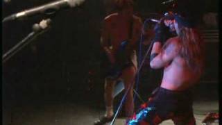 Red Hot Chili Peppers  Higher Ground  LIVE 1990 [upl. by Nikolos]