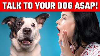 Start Barking at Your Dog and THIS Will Happen  YOU NEED TO BARK BACK [upl. by Asiil]