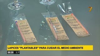 Lápices ‘Plantables’ para cuidar el medio ambiente [upl. by Aubyn]