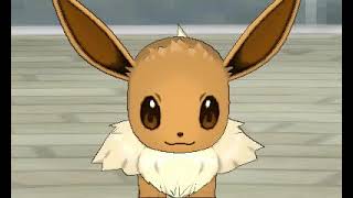 you encounter an eevee [upl. by Arenat682]